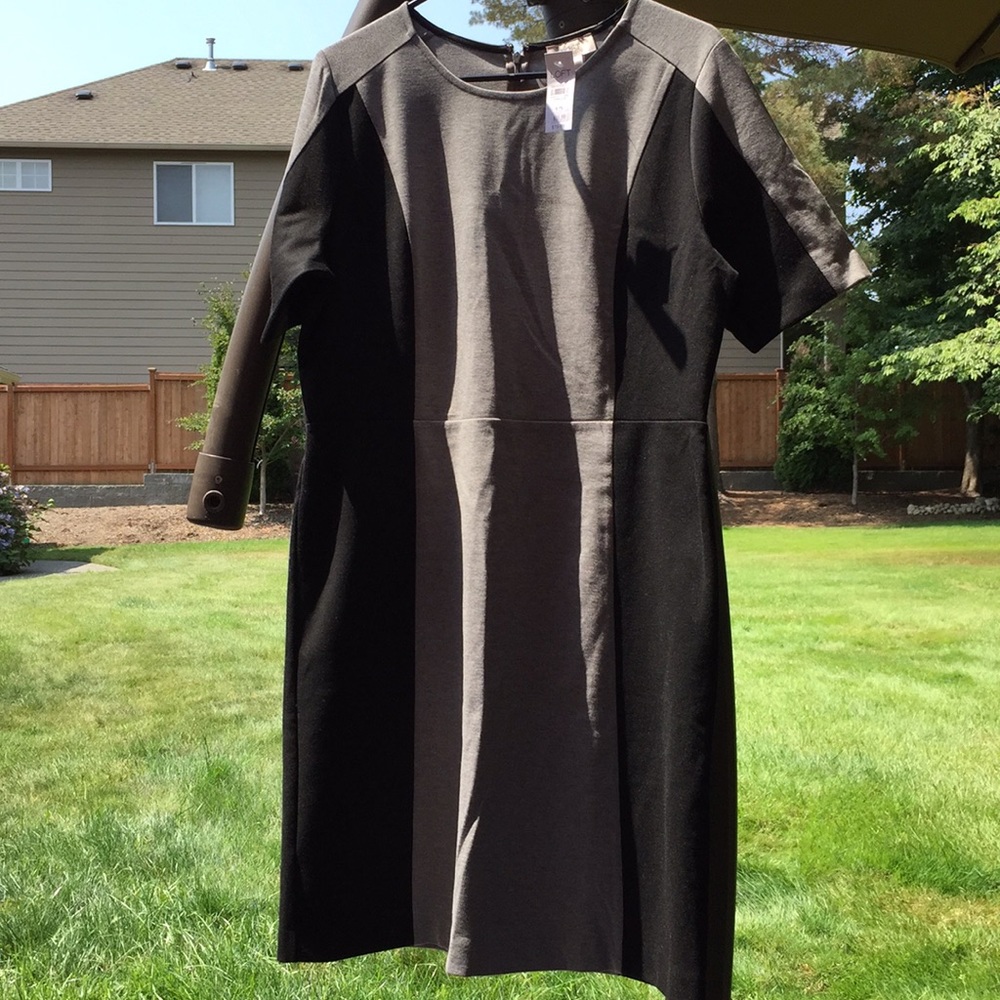 NWT Loft Dress